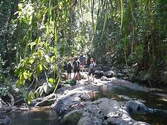Goa Jungle Adventure Tour